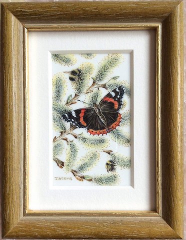 framed butterfly
