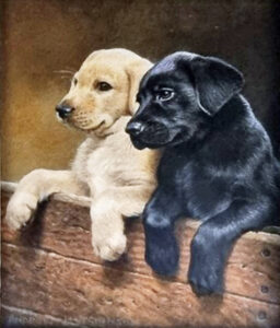 The Arturi Phillips connoisseur award Black and yellow lab pups by Andrew Hutchinson