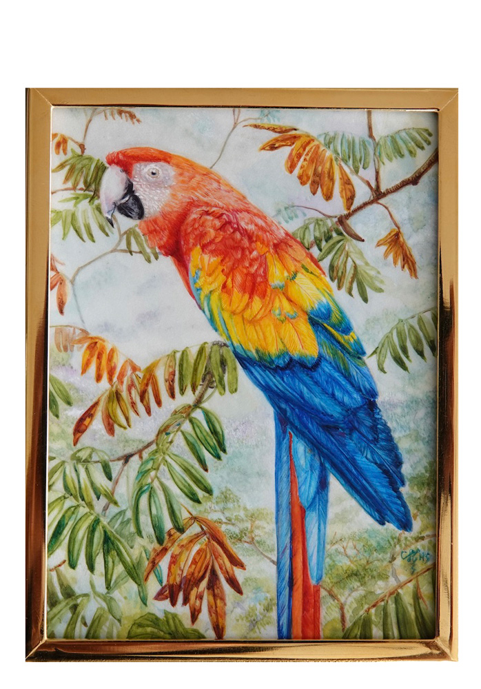 Christina Hopkinson - Scarlet Macaw - Gold Memorial Bowl Honorable Mention