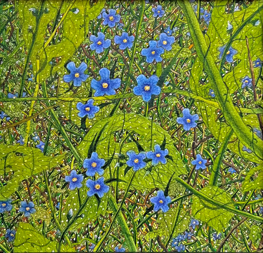 Victoria Shaparieva - Flowering Brunnera - Young Miniaturist Highly Commended Award Ages 16-17