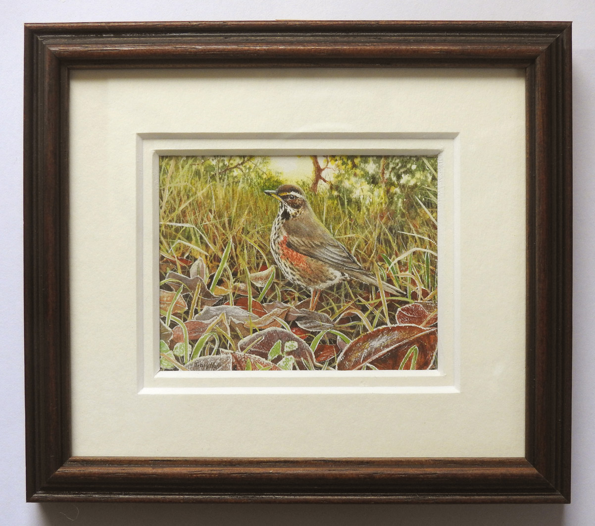 Group Award-Tracy-Hall-Redwing