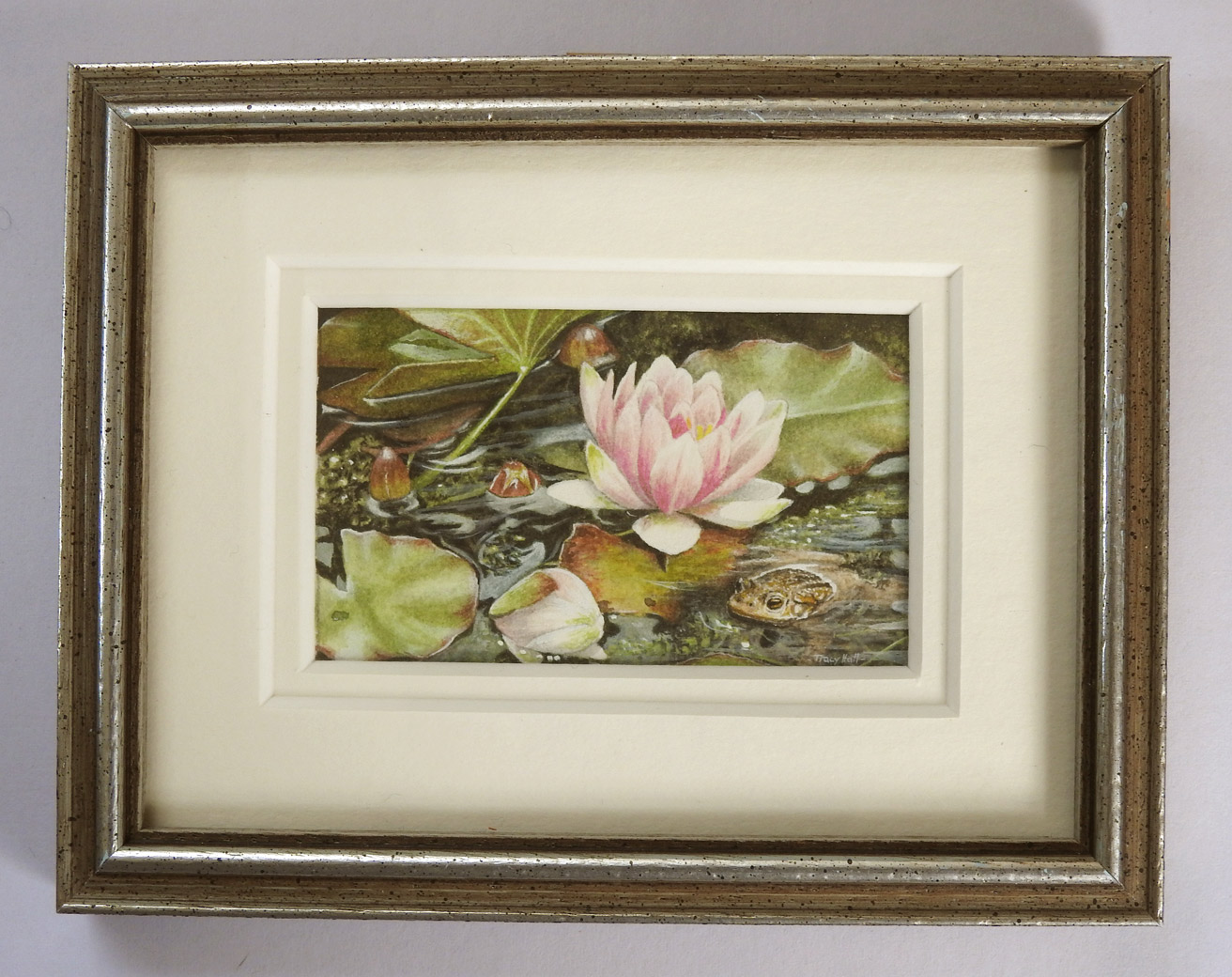 Group Award-Tracy-Hall-lily-pond-frog