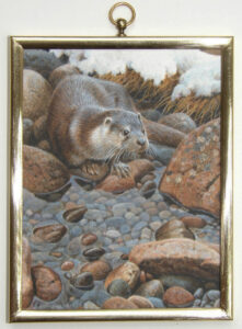 Gold bowl Honorable mention-Andrew-Hutchinson-Otter