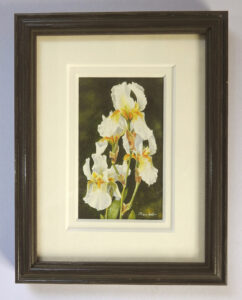 Group Award-Tracy-Hall-Bearded-Iris