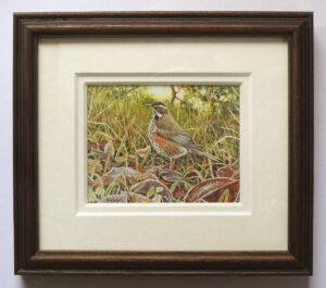 Group Award-Tracy-Hall-Redwing