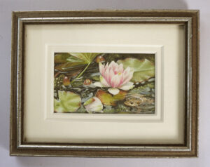 Group Award-Tracy-Hall-lily-pond-frog