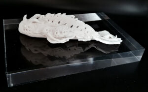 Presidents Special award-Maria Belousova 14yo Creature of No Ocean Bone china